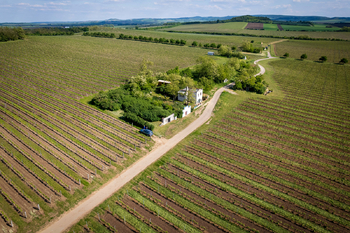 Prodej vinného sklepa Nový Přerov - Prodej vinného sklepa 120 m², Nový Přerov
