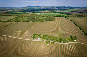 Prodej vinného sklepa Nový Přerov - Prodej vinného sklepa 120 m², Nový Přerov