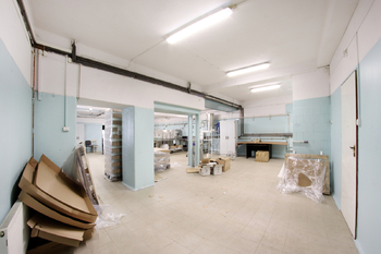 +420 604 191 744 I denisa.myslivcova@re-max.cz - Prodej výrobních prostor 897 m², Kończyce Małe