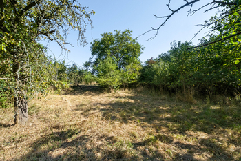 Prodej domu 125 m², Vraný