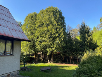 Prodej chaty / chalupy 50 m², Libeř