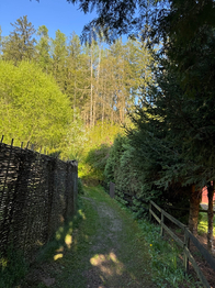 okolí - Prodej chaty / chalupy 50 m², Libeř