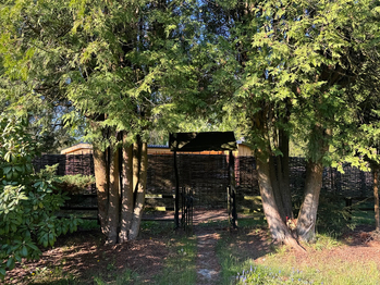 okolí - Prodej chaty / chalupy 50 m², Libeř
