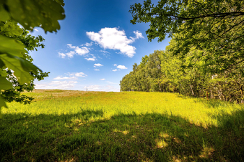 Prodej pozemku 18492 m², Nové Hrady