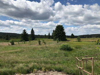 Okolní příroda - Prodej domu 150 m², Boží Dar