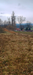 Prodej pozemku 11896 m², Jesenice