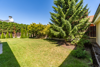 Pronájem domu 280 m², Průhonice
