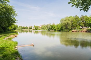 Prodej pozemku 1000 m², Syrovice