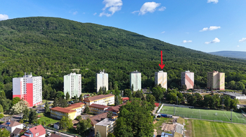 Prodej bytu 2+1 v družstevním vlastnictví 57 m², Osek