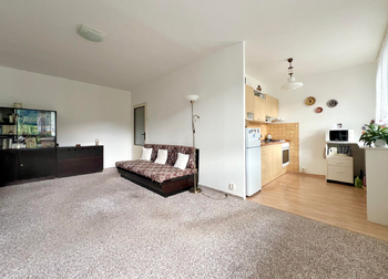 obývací pokoj - Prodej bytu 2+1 v družstevním vlastnictví 57 m², Osek