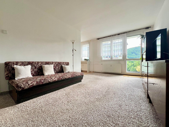 Prodej bytu 2+1 v družstevním vlastnictví 57 m², Osek