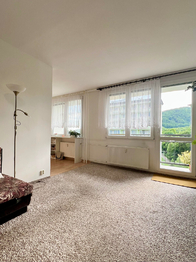 Prodej bytu 2+1 v družstevním vlastnictví 57 m², Osek