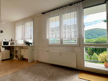 Prodej bytu 2+1 v družstevním vlastnictví 57 m², Osek