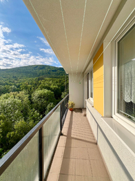 Prodej bytu 2+1 v družstevním vlastnictví 57 m², Osek
