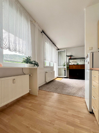 Prodej bytu 2+1 v družstevním vlastnictví 57 m², Osek