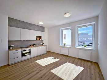 Pronájem bytu 1+kk v osobním vlastnictví 35 m², České Budějovice