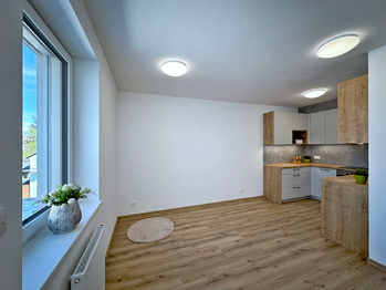 Pronájem bytu 2+kk v osobním vlastnictví 43 m², České Budějovice