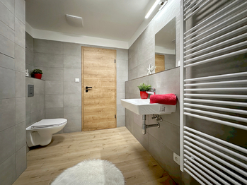 Pronájem bytu 2+kk v osobním vlastnictví 56 m², České Budějovice