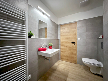 Pronájem bytu 2+kk v osobním vlastnictví 48 m², České Budějovice
