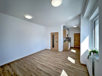 Pronájem bytu 1+kk v osobním vlastnictví 37 m², České Budějovice