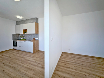 Pronájem bytu 1+kk v osobním vlastnictví 35 m², České Budějovice