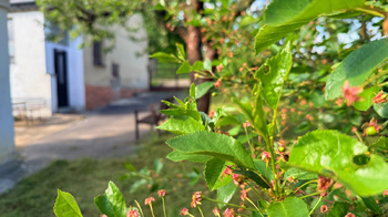 Prodej domu 72 m², Strachoňovice