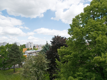 Prodej bytu 3+1 v osobním vlastnictví 74 m², Chrudim