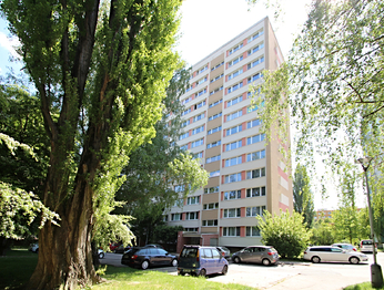 Prodej bytu 1+1 v osobním vlastnictví 32 m², Kolín
