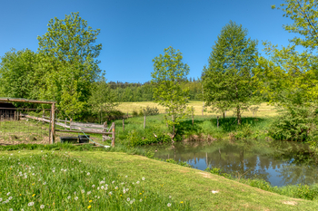 Prodej pozemku 4300 m², Chudenín