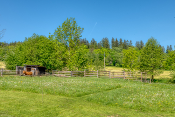 Prodej pozemku 4300 m², Chudenín