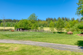 Prodej pozemku 4300 m², Chudenín