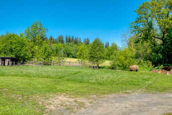 Prodej pozemku 4300 m², Chudenín