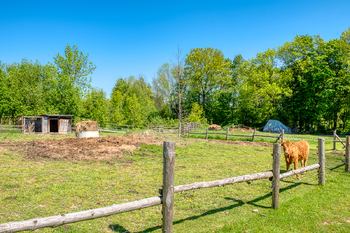 Prodej pozemku 4300 m², Chudenín