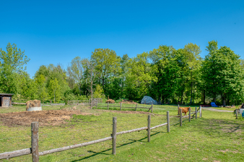 Prodej pozemku 4300 m², Chudenín