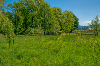 Prodej pozemku 4300 m², Chudenín