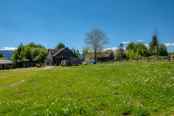 Prodej pozemku 4300 m², Chudenín