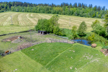 Prodej pozemku 4300 m², Chudenín