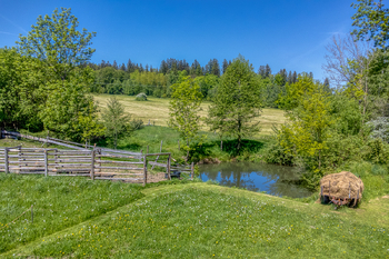 Prodej pozemku 4300 m², Chudenín