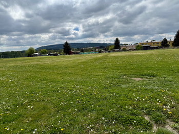Prodej pozemku 13575 m², Toužim