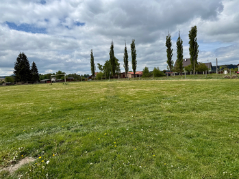 Prodej pozemku 13575 m², Toužim