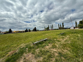 Prodej pozemku 13575 m², Toužim