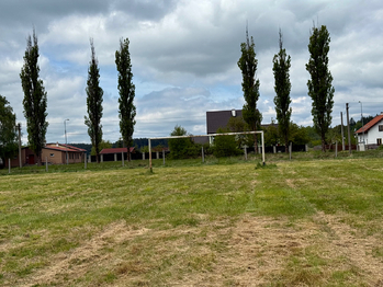 Prodej pozemku 13575 m², Toužim