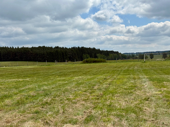 Prodej pozemku 13575 m², Toužim