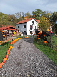 Prodej domu 1751 m², Petrovice u Karviné