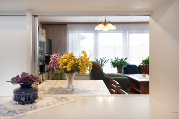 Prodej domu 232 m², Dolní Benešov