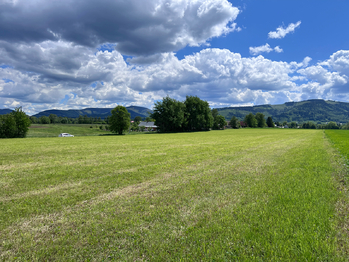 Prodej pozemku 10509 m², Raškovice
