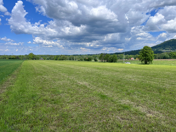Prodej pozemku 10509 m², Raškovice