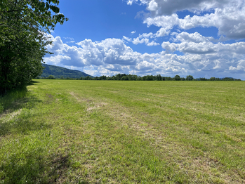 Prodej pozemku 10509 m², Raškovice