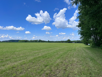Prodej pozemku 10509 m², Raškovice