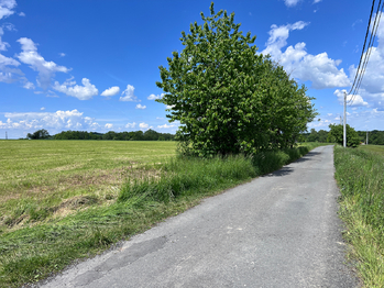 Prodej pozemku 10509 m², Raškovice